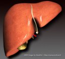 Esposizione ad aflatossine e rischio d�insorgenza di epatocarcinoma