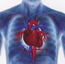 La medicina preventiva nelle patologie cardiovascolari. Cosa ci riserva il futuro?