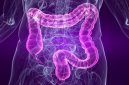 Screening del carcinoma colorettale: impatto della ricerca del sangue occulto nelle feci