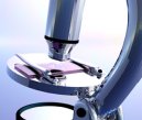 RICONOSCIMENTO SCIENTIFICO